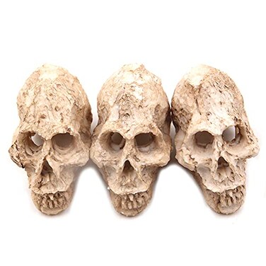 Driak 3Pcs Fish Tank Decorative Aquarium Decorations Head Bone Skull Resin Ornament for Reptile or Fish