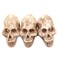 Driak 3Pcs Fish Tank Decorative Aquarium Decorations Head Bone Skull Resin Ornament for Reptile or Fish