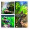 kawosun Floating Fish Aquarium Tank Decoration Game Aquarium Accessories