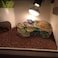 PINVNBY Turtle Basking PlatformTortoise Resin Dock Resting Rock Reptile Habitat Ornament Hiding Cave Floating Ledge Aquarium Decoration for Bearded DragonsLizardNewtsFrogs