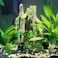 SLOCME Aquarium Resin Tree Trunk Ornament Fish Tank Wood House Decor Betta Fish or Other Pets Can Swim Through the Branches