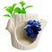 SpringSmart 2Pack Aquarium Cave Artificial Plant Fish Hideout Decorations for Betta Shrimp to Breed Play
