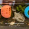 WEWAYKGJ Betta Fish Tunnel with Suction Cup Aquarium Fish Hideout Shrimp Cave Guppy Fish Tunnel Tank Accessories Aquarium Decor for Small Fish Shrimp Pink