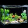 SLSON Fishes Veggie Seaweed Plant Suction Cup Clip Feeding Tool Feed Holder Aquarium Accessories for Fish Tank Fish Feeder Clips 4Pack Transparent