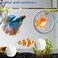 Homedy Crafts Betta Fish Exercise Ring and Filter Balls Set Betta Ring Training Loop with Suction Cup and Nitrifying Ball Betta Enrichment Toys Aquarium Toys for Fish Turtle Tank Small Fish Tank White