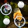 Homedy Crafts Betta Fish Exercise Ring and Filter Balls Set Betta Ring Training Loop with Suction Cup and Nitrifying Ball Betta Enrichment Toys Aquarium Toys for Fish Turtle Tank Small Fish Tank White