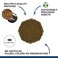 Fluval Bug Bites Tropical Fish Food Large Granules for Medium to Large Sized Fish 374 lb A6597 Brown