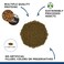 Fluval Bug Bites Tropical Fish Food Large Granules for Medium to Large Sized Fish 374 lb A6597 Brown