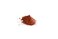 Josh's Frogs Joshs Frogs Brine Shrimp Flake 075 oz Jar