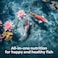 Kaytee Kois Choice Koi Floating Fish Food For Koi Goldfish and Pond Fish 3 pounds