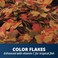 Tetra Color Tropical Flakes Color Boosting Fish Food Nutritionally Balanced Diet for Tropical Fish 22 lbs