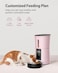 Petory Timed Automatic Cat Feeders 4L Programable Dry Food Dispenser for Cats and Small Medium Dogs 6 Meals with Desiccant Bag Dual Power Supply 10S Voice Recorder