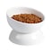 ABRUTY Cat Water Bowl 16 OZ Ceramic Elevated Cat Bowls 15 Tilted and Raised Pet Food Dish Anti Vomiting Protect Pets Spines and Whisker Fatigue