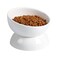 ABRUTY Cat Water Bowl 16 OZ Ceramic Elevated Cat Bowls 15 Tilted and Raised Pet Food Dish Anti Vomiting Protect Pets Spines and Whisker Fatigue