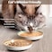 Kitwinney NonSlip Cat Bowls Ceramic Cat Food Bowl Set with Silicone Base Cats Dishes Cute Plates for Feeding Indoor Cats Kitten Small Dogs Multi Deeper