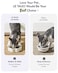 LE TAUCI Cat Food Bowl Ceramic 8 oz Small Shallow for Indoor KittenRelief Whisker Fatigue Cute Paw Design Pet Dish with Slow Feed Function
