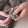 Kitty Caps Nail Caps for Cats Black with Gray Tips and Baby Blue Safe Stylish and Humane Alternative to Declawing Stops Scratches and Snags Medium 9 to 13 Pounds 40 Count