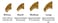 Purrdy Paws 40 Pack Soft Nail Caps for Cat Claws Gold Glitter Small