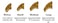 Purrdy Paws 40 Pack Soft Nail Caps for Cat Claws Gold Glitter Small