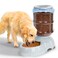 Kenond 3 Gallon Gravity Feeder Automatic Dog Feeder Dog Food Dispenser for Large Breed