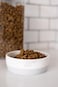 Pearhead Ceramic Bone Apptit Dog Bowl Stoneware Food and Water Dish Grey and White Pet Feeder SmallMedium 225 Cups 18 oz