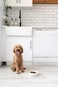 Pearhead Ceramic Bone Apptit Dog Bowl Stoneware Food and Water Dish Grey and White Pet Feeder SmallMedium 225 Cups 18 oz