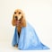 Luzia Unconditional Love Premium Pet Drying Towel Ultra Absorbent and Soft Microfiber Towel for Dogs and Cats Blue