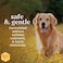 BURT'S BEES Burts Bees for Pets Dog Wipes for Daily Grooming with Witch Hazel Deodorizing Wipes That Clean Paws and Face 98 Natural Origin Waterless Bath Formula 100 Count