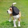 vomvomp Dogs Ear Protectors Dog Long Ears Snood Walking Ear Cover for Cocker Springer Spaniel Longeared Dogs Prevent Grass Seeds Sand Foxtails