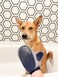 Four Paws Magic Coat Professional Series Love Glove Dog Grooming Mitt