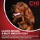 CHI for Dogs Deep Moisture Shampoo pH Balanced Hydrating Dog Shampoo Dry Skin Ionic Technology Soft Shiny Coat 16 FL OZ Made USA
