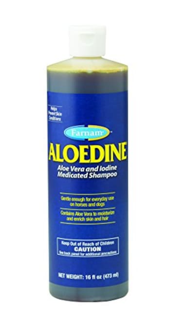 Farnam Medicated Shampoo with Aloe Vera and Iodine Moisturizing and Gentle for Horses Ponies and Dogs 16 oz