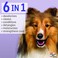Hartz Groomers Best Professionals 6in1 Dog Shampoo and Conditioner in One 18 oz