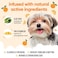 Buddycare Orange Dog Shampoo by Deep Cleansing Shampoo for Dogs Orange Scented with Aloe Vera and Pro Vitamin B5 169oz