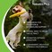 NaturesPlus FurBaby Digestive Support for Dogs 74 oz Promotes Optimal Digestion NonGMO 60 Servings
