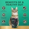 VETRISCIENCE VetriScience Gut Health Chews Probiotic Everyday Digestive Supplement for Cats Pet Probiotics for Digestion Support Gas and Diarrhea Immune Support 120 Million CFU Per Chew Duck 60 Count