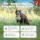 Zesty Paws Chew No Poo Bites for Dogs Stool Eating Deterrent Soft Chews for Dogs Gut Periodontal Immune System Support Premium DE111 Bacillus subtilis Probiotic AE Bison 90 Count