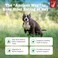 Zesty Paws Chew No Poo Bites for Dogs Stool Eating Deterrent Soft Chews for Dogs Gut Periodontal Immune System Support Premium DE111 Bacillus subtilis Probiotic AE Bison 90 Count