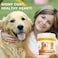 Amazing Nutritionals Amazing Turmeric for Dogs Curcumin Pet Antioxidant Eliminates Joint Pain Inflammation 90 Bacon Soft Chews