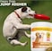 Amazing Nutritionals Amazing Turmeric for Dogs Curcumin Pet Antioxidant Eliminates Joint Pain Inflammation 90 Bacon Soft Chews