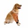 HDKUW Dog Elbow Protector for Calluses Dog Joint Recovery Sleeve for Prevent Licking Wound Elbow Sleeves with Mesh Pad for Medium Large Dogs Tiger L