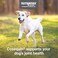 Nutramax Laboratories Cosequin Maximum Strength Joint Health Supplement for Dogs With Glucosamine Chondroitin and MSM 2 Pack 264 Total Chewable Tablets