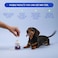 Coco and Turkey Tail Mushroom for Dogs 120 Tablets Lumps Bumps Immune