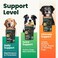 VETRISCIENCE VetriScience Ultimate Strength Hip Joint Supplement for Dogs GlycoFlex Plus MSM Chondroitin GreenLipped Mussel Chews for Mobility Flexibility Comfort Support Peanut Butter Flavor 120 Cnt