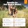 Zesty Paws Hip and Joint for Dogs Glucosamine for Dogs Hip and Joint Supplement with Chondroitin MSM Vitamins C E Bacon 50 Count