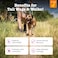 Zesty Paws Hip and Joint for Dogs Glucosamine for Dogs Hip and Joint Supplement with Chondroitin MSM Vitamins C E Bacon 50 Count