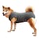 Dotoner Dog Recovery Suit Abdominal Wound Puppy Surgical Clothes PostOperative Vest Pet After Surgery Wear Substitute ECollar ConeXL Grey