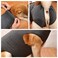Dotoner Dog Recovery Suit Abdominal Wound Puppy Surgical Clothes PostOperative Vest Pet After Surgery Wear Substitute ECollar ConeXL Grey