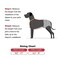 Poualss 2Pcs Adjustable Dog Suspenders