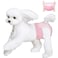 Ambreview Disposable Dog Diapers Female Just Pull It Up Doggie Diapers for Female Dogs Strong Absorbency Leak Proof for Dogs in Heat Elderly Disabled S 100 PCS